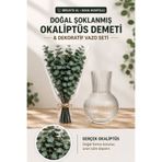 Bontia Şoklanmış Gerçek Okaliptüs Demeti– 4 Ana Dal + Yan Dallı Büyük Demet Okaliptüs ve Dekoratif Cam Vazo