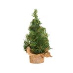 Boodtag Masa Üstü Dekor için Yapay Mini Noel Ağaçları Coloful Hafif Çocuk Parti Malzemeleri (1 adet 20 cm)