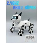 Boratila Toys 2.4ghz Şarjlı Uzaktan Kumandalı 360° Dönen Merdiven Çıkan Akıllı Robot Kedi - Köpek - Siyah
