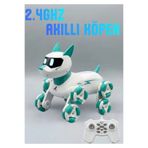 Boratila Toys 2.4Ghz Şarjlı Uzaktan Kumandalı 360° Dönen Merdiven Çıkan Akıllı Robot Kopek