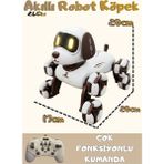 Boratila Toys Akıllı Robot Köpek 360 Derece Dönebilen Çok Fonksiyonlu Uzaktan Kumandalı Oyuncak - Kahverengi