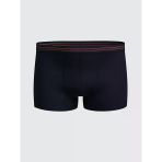 Bordo Büyük Beden Standart Kalıp Pamuklu Esnek Erkek Boxer 3'Lü