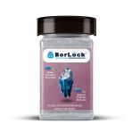 Borlock Bebek Pudrası Kokulu Koku Giderici 175 Gr