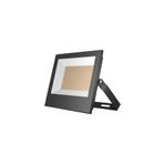 Borsan Borled 50W Beyaz Işık Led Projektör 6500 Kelvin Gold Serisi BL-P4-0012