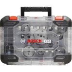 Bosch 14 Parça Panç Seti Pro 20-76Mm - 2608594425