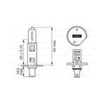 Bosch 1987301108 Ampul Gıgalight Plus 120-12 V-h1-55 W-p14.5s H1 1987301108