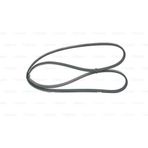 BOSCH 1987948364 V KAYIŞI 01- CLIO II KANGOO SYMBOL THALI TWINGO