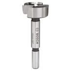Bosch 2608596977 35 mm Ahşap Menteşe Açma Ucu