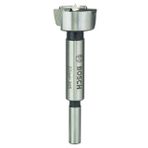 Bosch 2608597111 27 mm Ahşap Menteşe Açma Ucu
