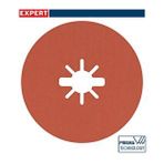 Bosch 2608621806 R782 Expert 115 mm 80 Kum 5'li Inox Disk Zımpara