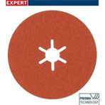Bosch 2608621817 R782 Expert 100 mm 60 Kum 25'li Inox Disk Zımpara