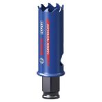 Bosch 2608900420 22 mm Expert Sert Malzemeler için Panç