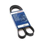 Bosch 6PK1195 Kanallı V Kayışı