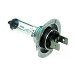 Bosch Ampül Plus 50 12 V H1 55 W P145S