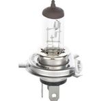 Bosch Ampul - Trucklight - 24 V - H4 - 75/70 W - P43T (2 Ad )