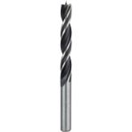 Bosch Çelik Matkap Ucu 10X80X120MM, Ahşap ve Metal Kesim Araçları - Seçenek 1