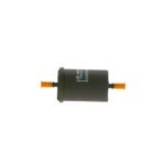 Bosch Citroen C2 1.6 2003-2009 Benzin Filtresi