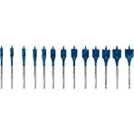 Bosch Exp Yaprak Matkap Ucu Seti 10-32 Mm 13’Lı