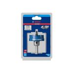 Bosch Expert Sheet Metal Delik Açma Testeresi 54 mm