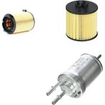 Bosch Filtre Bakım Seti Volkswagen Jetta 1.4 TSI 2007-2008 122 Beygir CAXA Motor Hava + Yağ f. + Yakıt Filtre Bosch