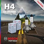 Bosch H4 Far Ampulü P43T 12V 60 55W 2 Adet