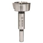 Bosch Menteşe Açma Ahşap Özel 40 mm Matkap Ucu