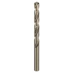 Bosch Professional Accessories Matkap ve Kırıcı Delici Uçları, Metal Matkap Ucu, Gri, 10 mm, 1 Adet