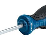 Bosch Profesyonel TX25x100 mm Torx Tornavida