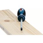 Bosch Profesyonel TX40x125 mm Torx Tornavida