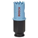 Bosch Sheet İnox 19 mm Panç