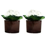 Bosphorus 2 ADET VAZO DAHİL,VAZODA ÇİÇEK,BEYAZ YAPAY ÇİÇEK,VAZO DEKORATİFOVAL KAHVERENGİ 13X5X15CM