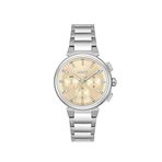 Boss Watches HB1502676 Metalik Gri Kadın Kol Saati