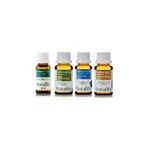 Botalife 4x20 ml Ada Çayı Yağı+Çam Terebentin Yağı+Defne Yağı+Sarımsak Yağı Saç Bakım Yağı