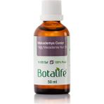 Botalife 50 ml Makedemya Cevizi Yağı