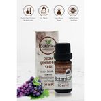 Botanica Üzüm Çekirdeği Yağı - Vitis Vinifera - Gençleştirici Çatlak Giderici Bakım Yağı - 10 Ml