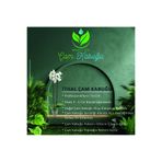 botaniklife İTHAL ÇAM KABUĞU 3 LİTRE ELENMİS TEMİZLENMİS İRİ TANE