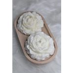 BOTTİKO Bottiko Beton Kokulu Dekor%100 Soya Wax Şakayık Mum Seti renkli