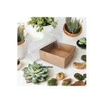 BOXSTATION 11x8x2.5 Altı Kraft Üstü Asetat Kutu 100 Adet