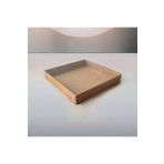 BOXSTATION 20x20x5 Asetat Kapaklı Kraft Kutu 10 Adet