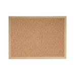 Boy Mantar Pano 60ADET Raptiye Hediye 90X60CM Duvara Montaj