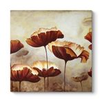 Boyama Gelincikler Tablosu 100 x 100