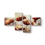 Boyama Gelincikler Tablosu 115 x 63-4 Parçalı