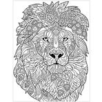 Boyanabilir Tablo Tuval aslan 25x35 cm