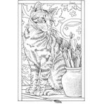 Boyanabilir Tablo Tuval Kedi 25x35 cm