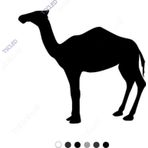Boynu Eğri Deve Sticker 15 cm