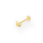 Boynuz Model Tragus Piercing