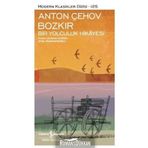 Bozkır - Bir Yolculuk Hikayesi - Anton Çehov
