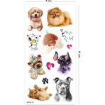 BP Tattoo Pomeranian Sevimli Hayvanlar Geçici Dövme