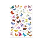 BP Tattoo Renkli Kelebekler Tırnak Sticker Nail Art Tırnak Dövmesi