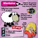 BrainBox Türkçe İcatlar
